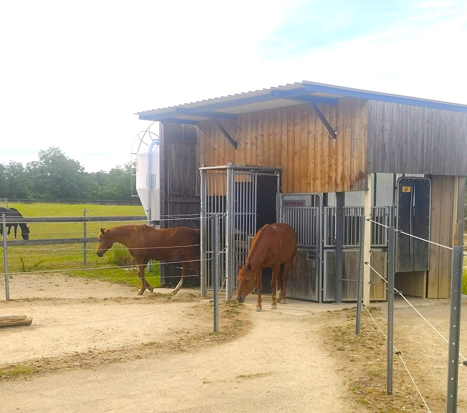 Kraftfutterstation